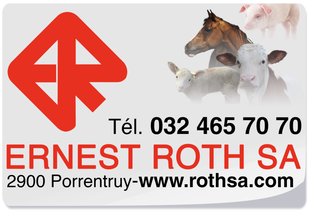 Ernest Roth SA